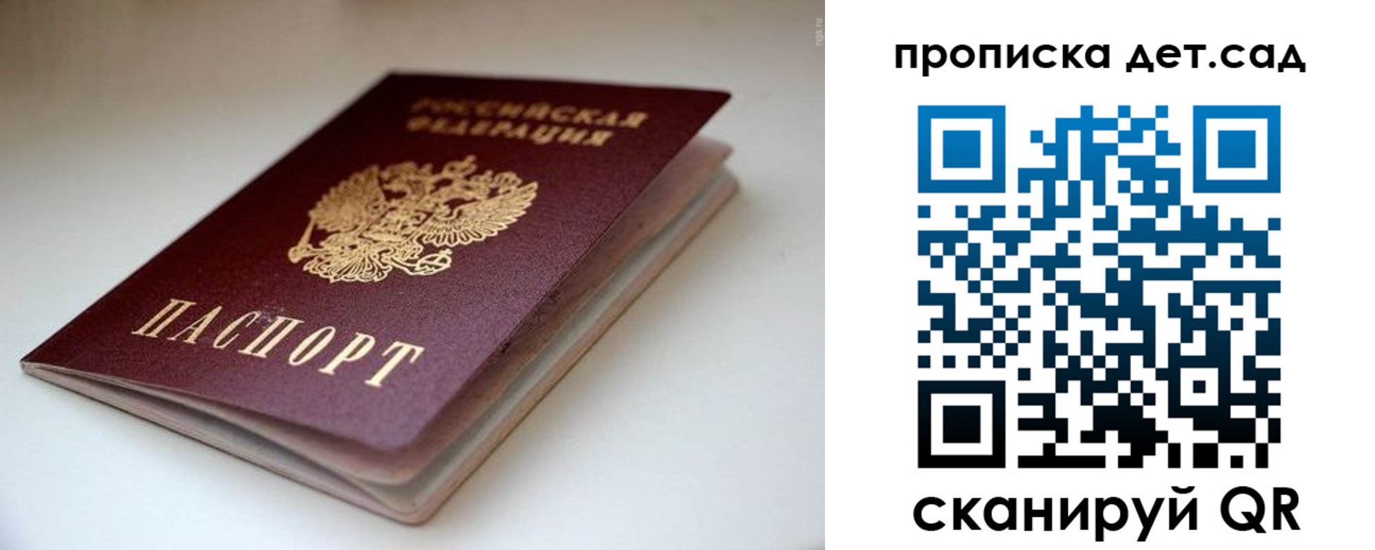 миграционный учет в Светлогорске